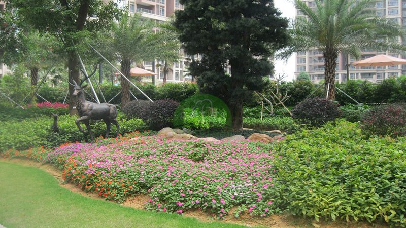 市政绿化养护与施工：两重天的使命**