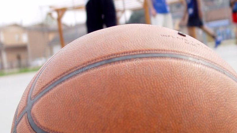 四川草坪卷生产厂家批发价格