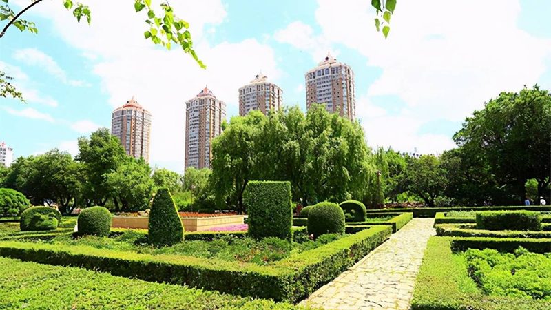 绿化工程报价单里藏着哪些你看不懂的门道