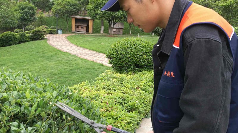 小区园林绿化土建施工流程解析