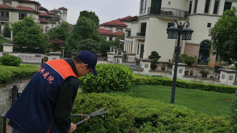 自动割草机器人：揭秘参数与规格背后的技术奥秘