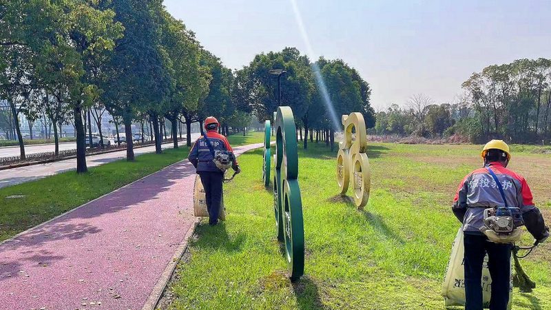 园林苗木种植人工费报价解析：揭秘成本构成与合理预算**