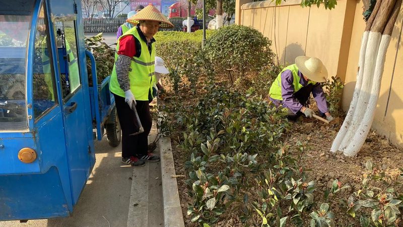 市政园林工程公司加盟模式的深度解析**