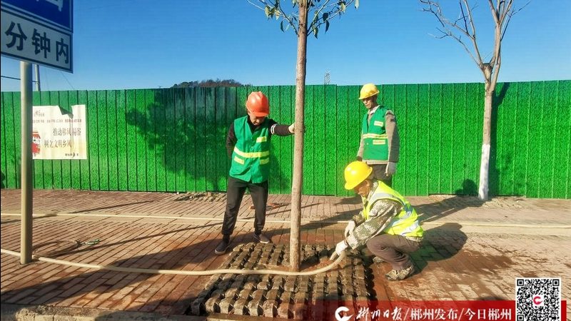 小区绿化预算书，别让报价单变成糊涂账