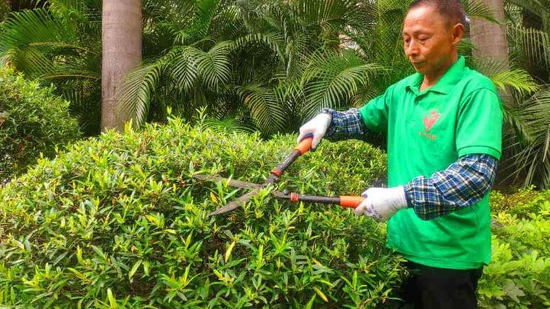 假山喷泉项目翻车，问题到底出在哪里