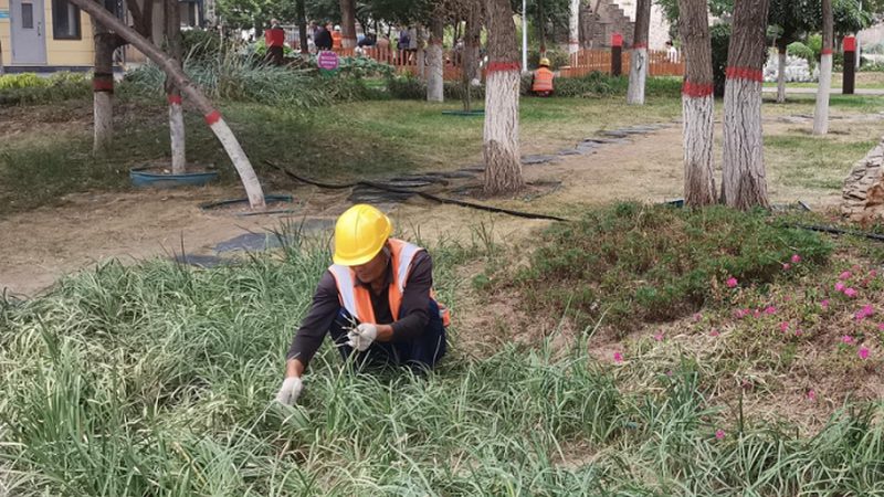 庭院木围栏DIY：打造个性化家居景观的实用指南