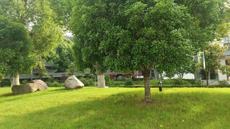 成都新中式庭院设计施工流程全解析