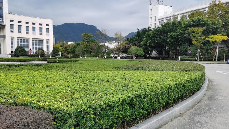 绿化资质新办：厂家代理如何选择？**