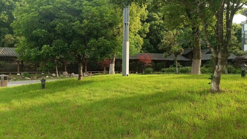 立体绿化植物定制方案：打造城市绿色新地标**