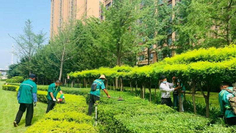 边坡绿化施工公司哪家好