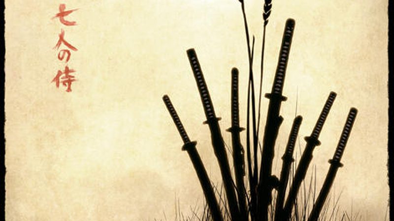 垂直绿化植物墙每平米造价，你了解多少？**